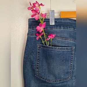 🌷Reitmans Women's Size 33P R Blue Jeans High Rise Straight Leg No Button Front